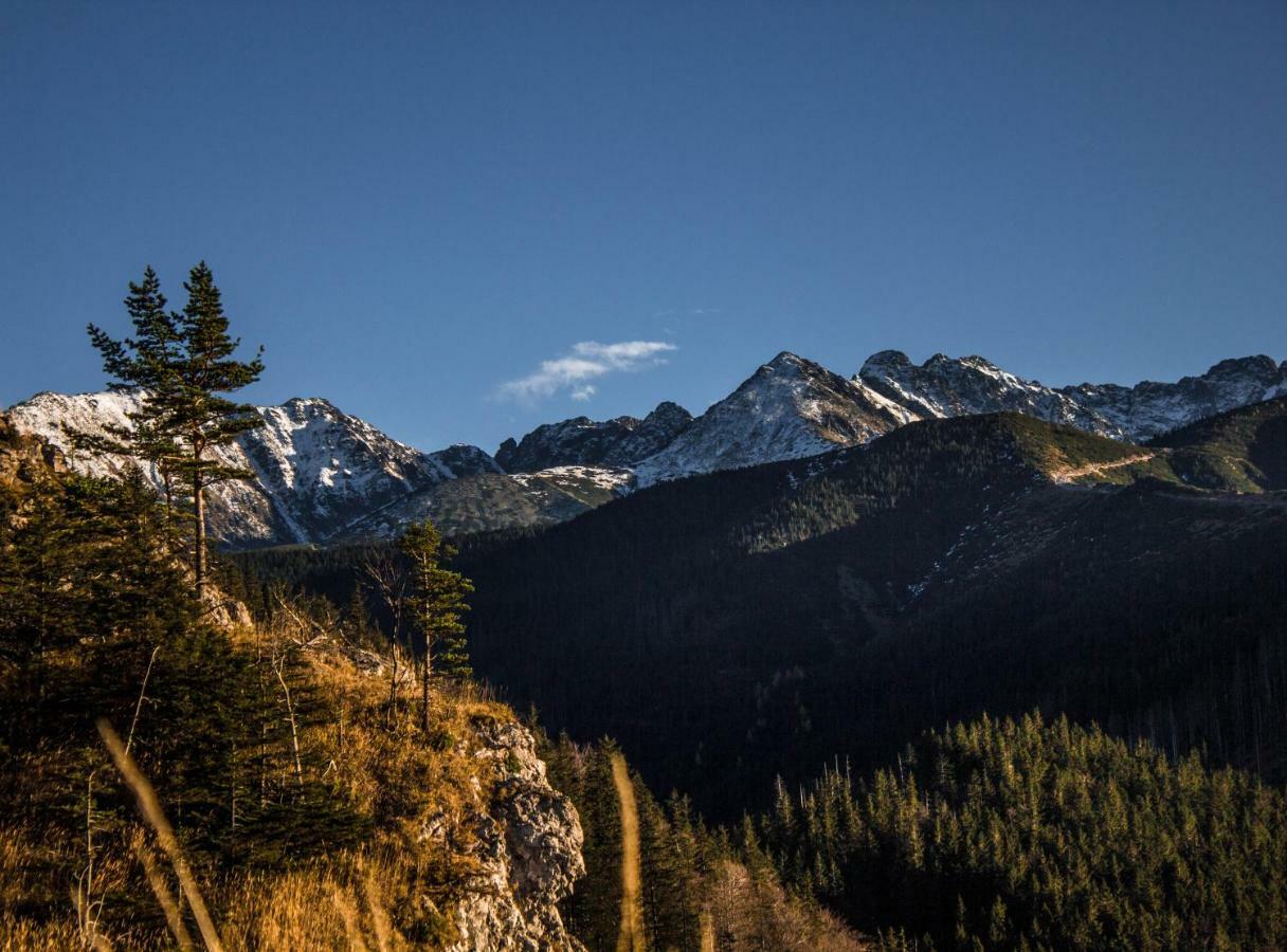 Willa Zbikowka Zakopane Luaran gambar